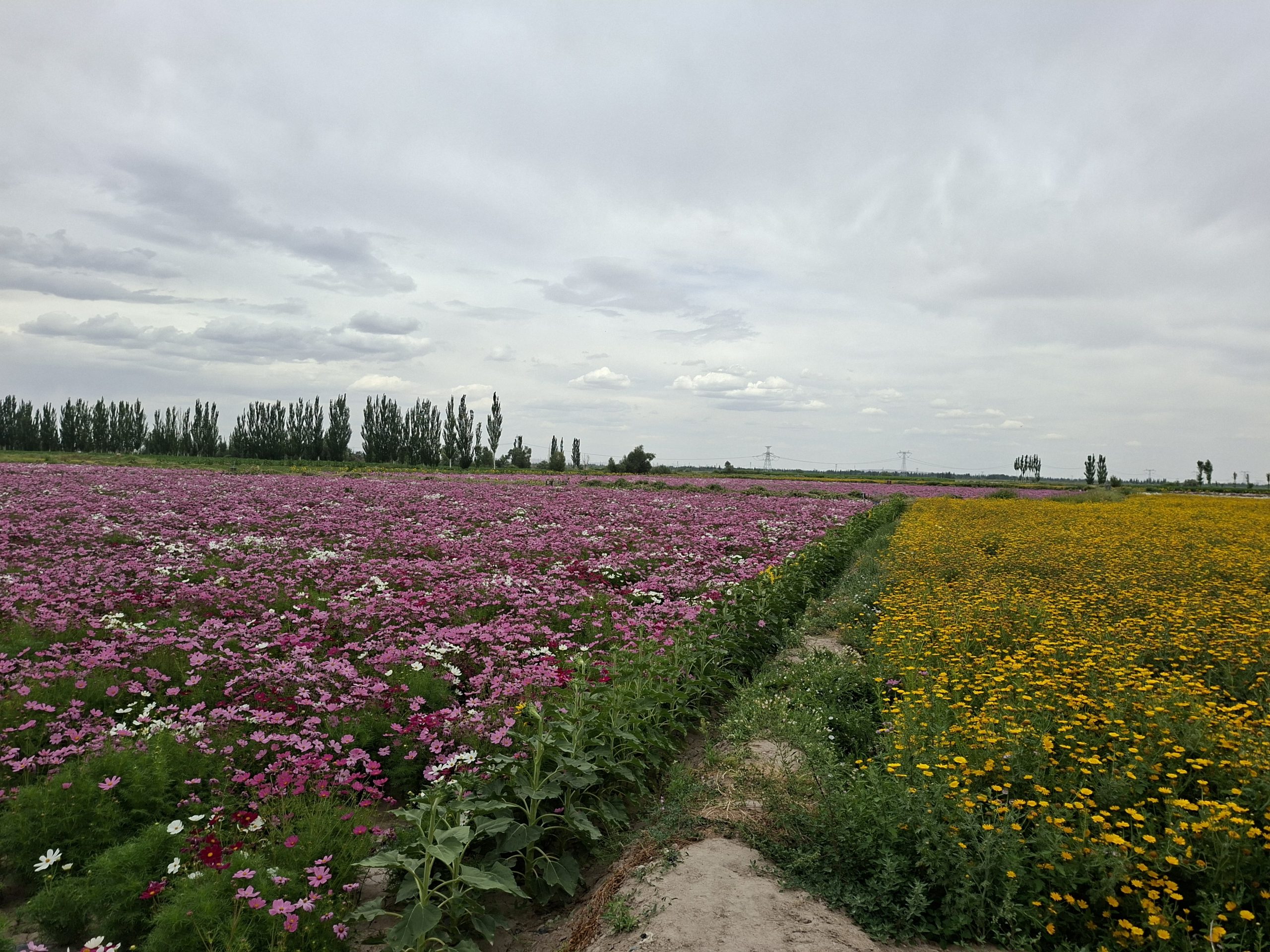Tag 112 – Guazhou – Yumen (137 km / 450 hm)