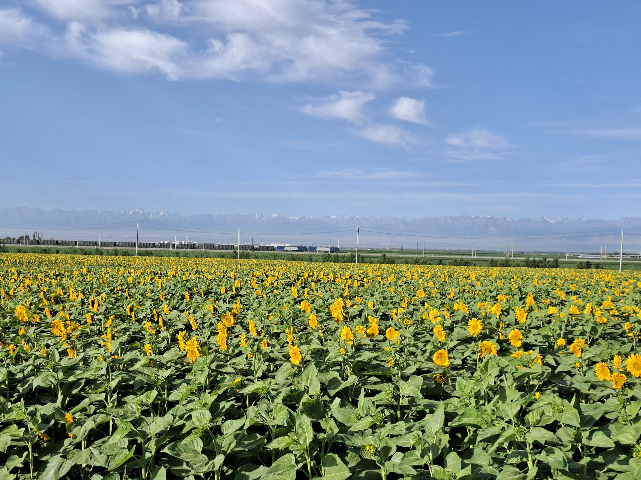 Tag 118 – Zhangye – Laojun (102.72 km / 748 hm)